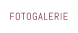 FOTOGALERIE